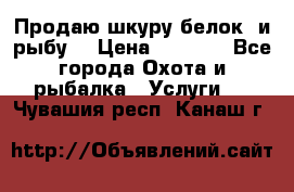 Продаю шкуру белок  и рыбу  › Цена ­ 1 500 - Все города Охота и рыбалка » Услуги   . Чувашия респ.,Канаш г.